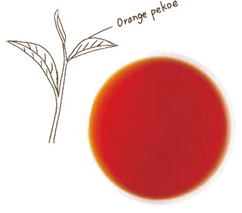 orangepekoe